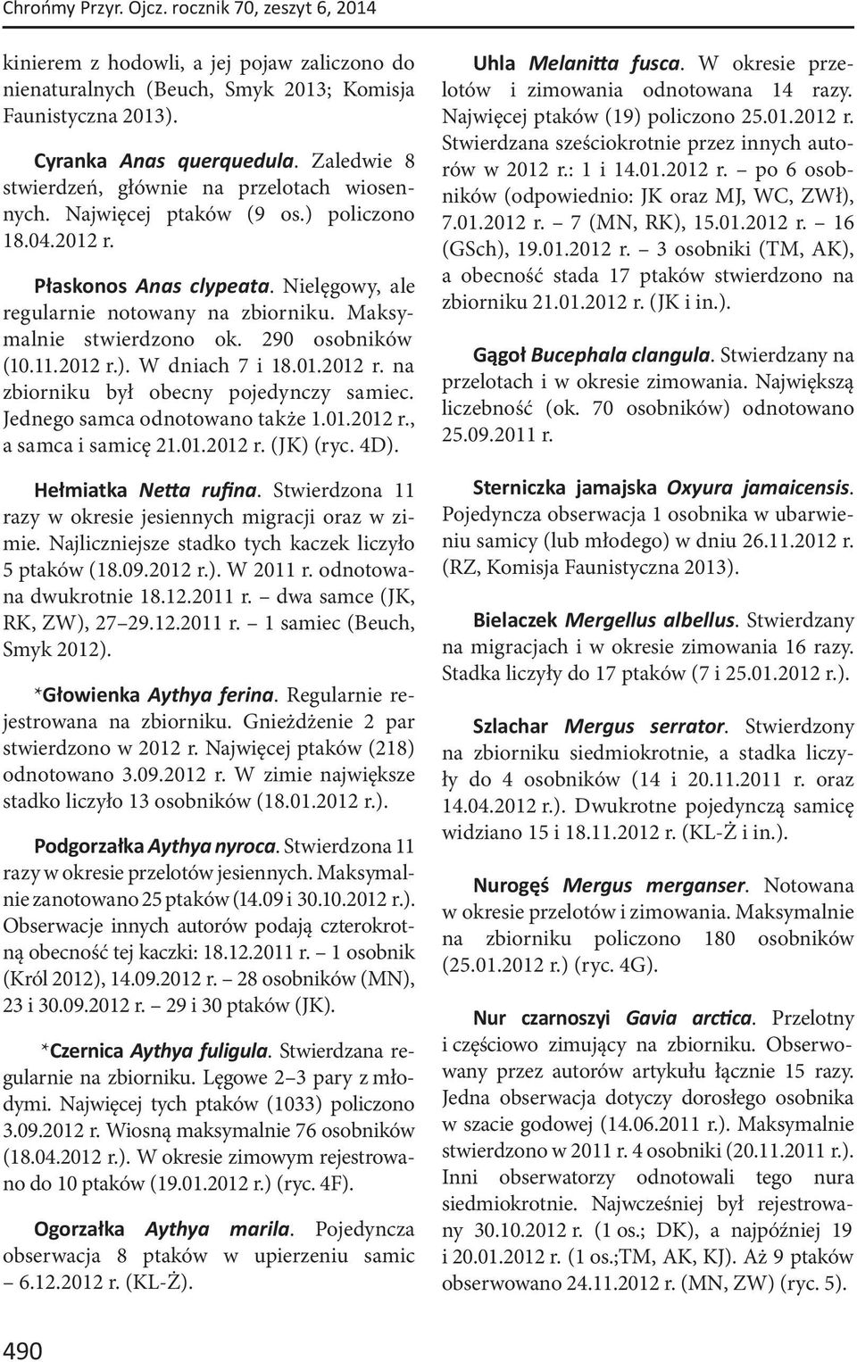 Maksymalnie stwierdzono ok. 290 osobników (10.11.2012 r.). W dniach 7 i 18.01.2012 r. na zbiorniku był obecny pojedynczy samiec. Jednego samca odnotowano także 1.01.2012 r., a samca i samicę 21.01.2012 r. (JK) (ryc.