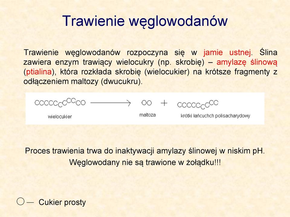 skrobię) amylazę ślinową (ptialina), która rozkłada skrobię (wielocukier) na krótsze