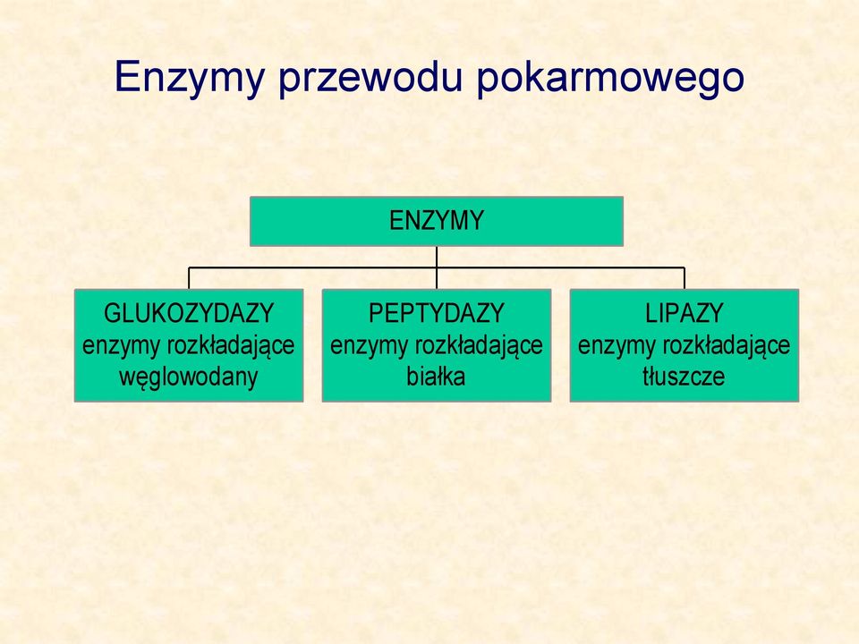 węglowodany PEPTYDAZY enzymy