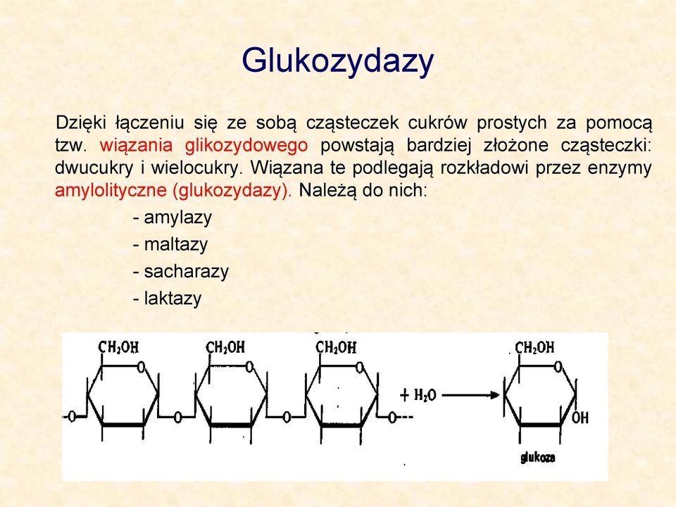 wiązania glikozydowego powstają bardziej złożone cząsteczki: dwucukry i