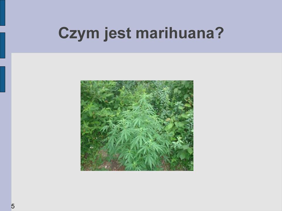 marihuana?