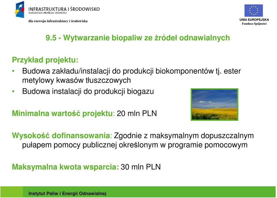 ester metylowy kwasów tłuszczowych Budowa instalacji do produkcji biogazu Minimalna wartość