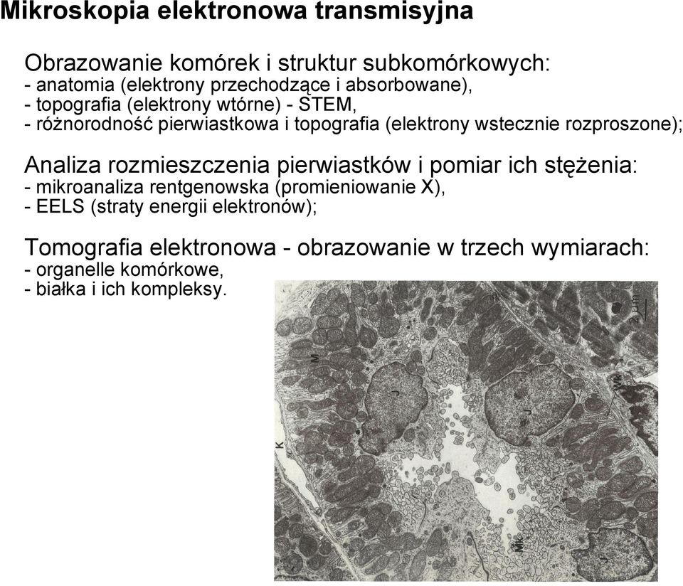 Analiza rozmieszczenia pierwiastków i pomiar ich stężenia: - mikroanaliza rentgenowska (promieniowanie X), - EELS