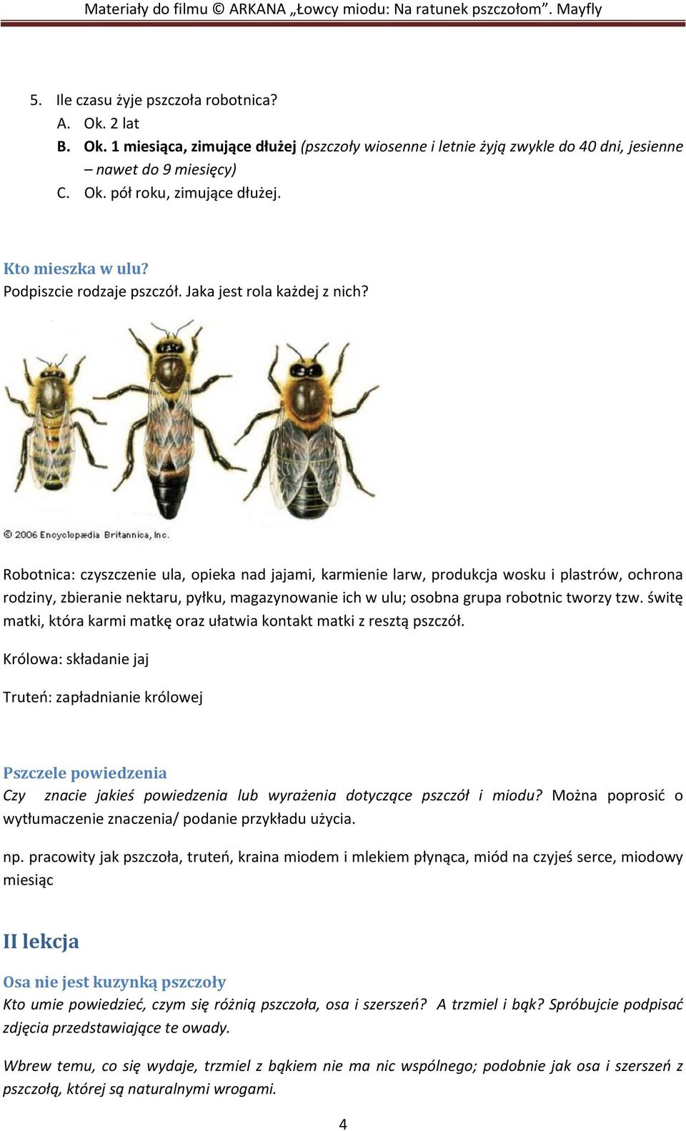 Robotnica: czyszczenie ula, opieka nad jajami, karmienie larw, produkcja wosku i plastrów, ochrona rodziny, zbieranie nektaru, pyłku, magazynowanie ich w ulu; osobna grupa robotnic tworzy tzw.