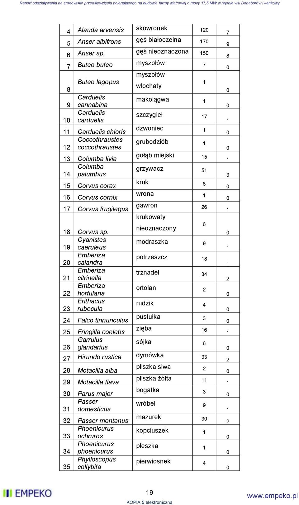 coccothraustes grubodziób 1 13 Columba livia gołąb miejski 15 Columba 14 palumbus grzywacz 51 15 Corvus corax kruk 6 16 Corvus cornix wrona 1 17 Corvus frugilegus gawron 26 krukowaty 18 Corvus sp.