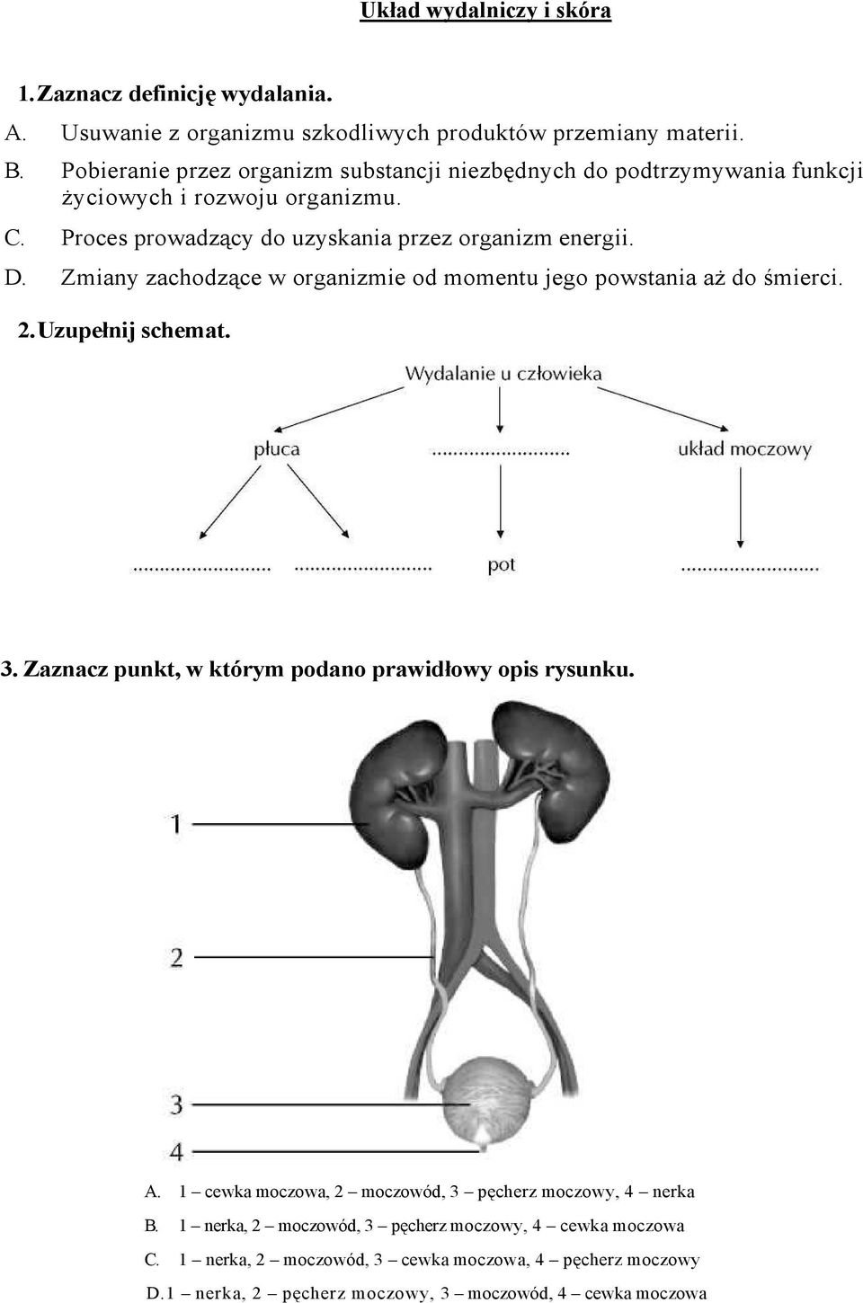 Zmiany zachodzące w organizmie od momentu jego powstania aŝ do śmierci. 2. Uzupełnij schemat. 3. Zaznacz punkt, w którym podano prawidłowy opis rysunku. A.