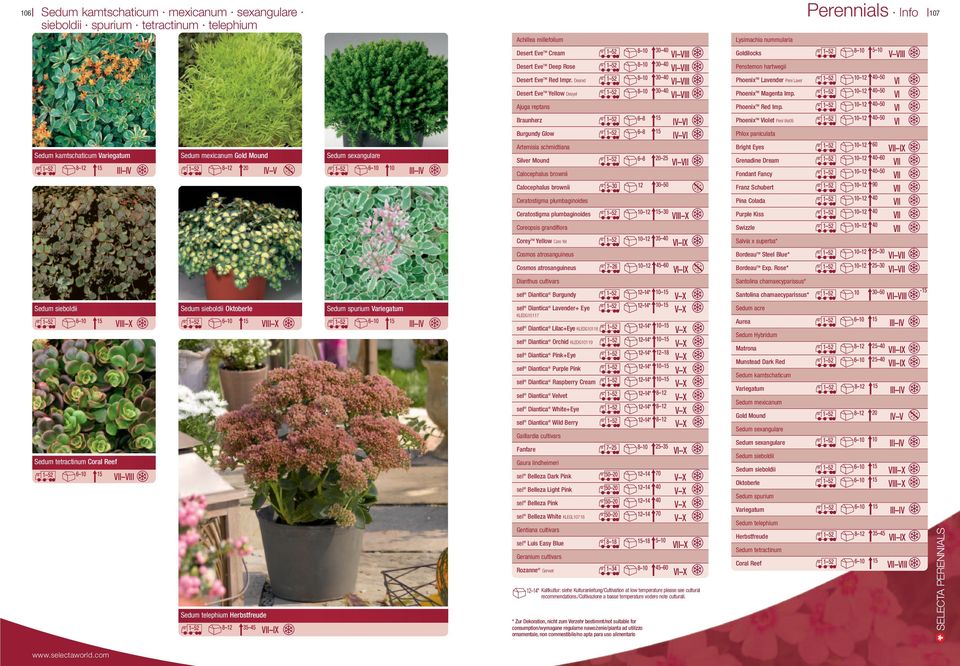 Sedum spurium Variegatum 1 52 6 10 15 Achillea millefolium Desert Eve TM Cream Desert Eve TM Deep Rose Desert Eve TM Red Impr.