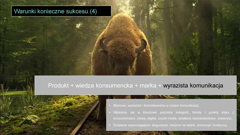 kategorii, trendy i punkty styku z konsumentami (sklep, digital, social media, działania