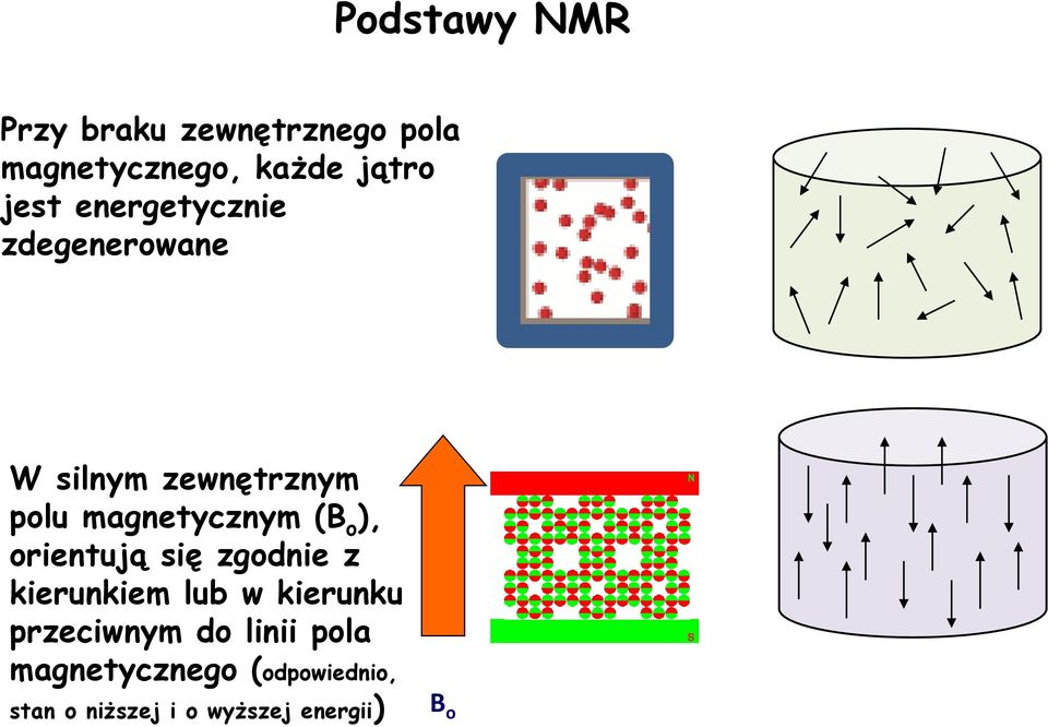 (B o ), orientują się zgodnie z kierunkiem lub w kierunku przeciwnym do