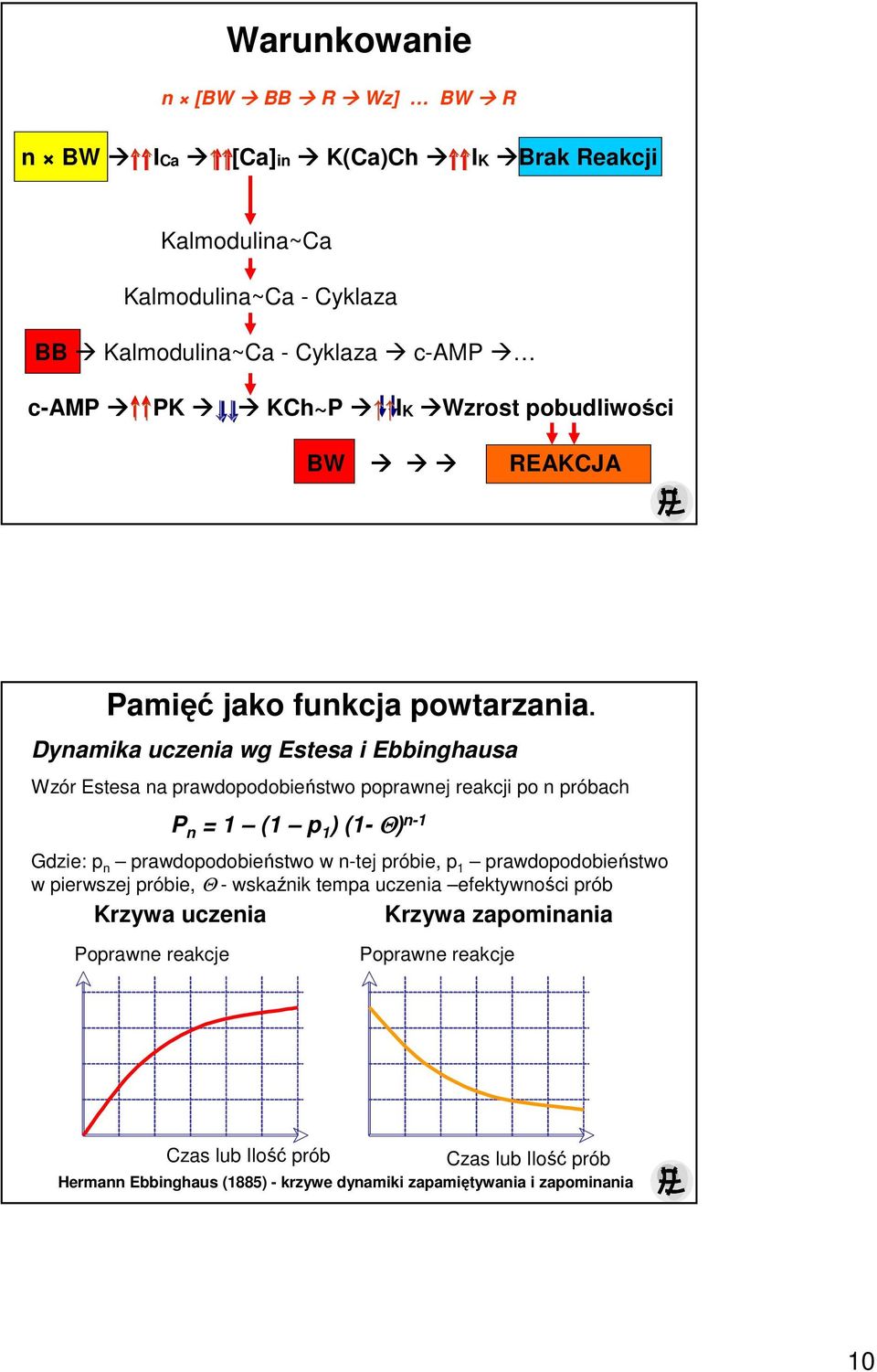 Dynamika uczenia wg Estesa i Ebbinghausa Wzór Estesa na prawdopodobieństwo poprawnej reakcji po n próbach P n = 1 (1 p 1 ) (1- Θ) n-1 Gdzie: p n prawdopodobieństwo w