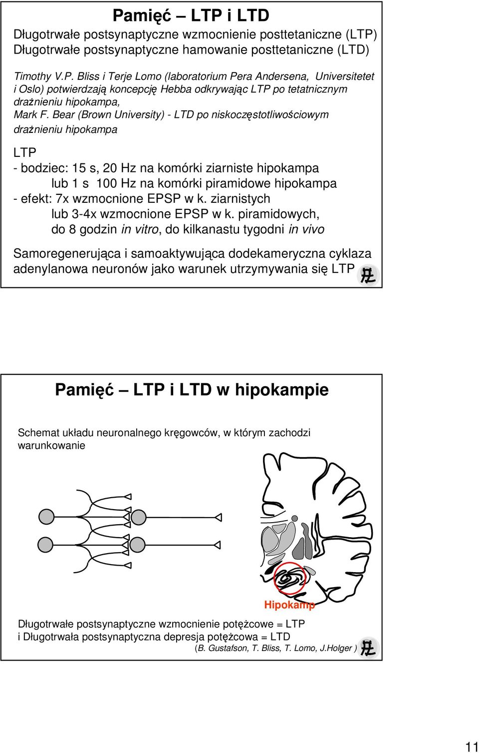 wzmocnione EPSP w k. ziarnistych lub 3-4x wzmocnione EPSP w k.