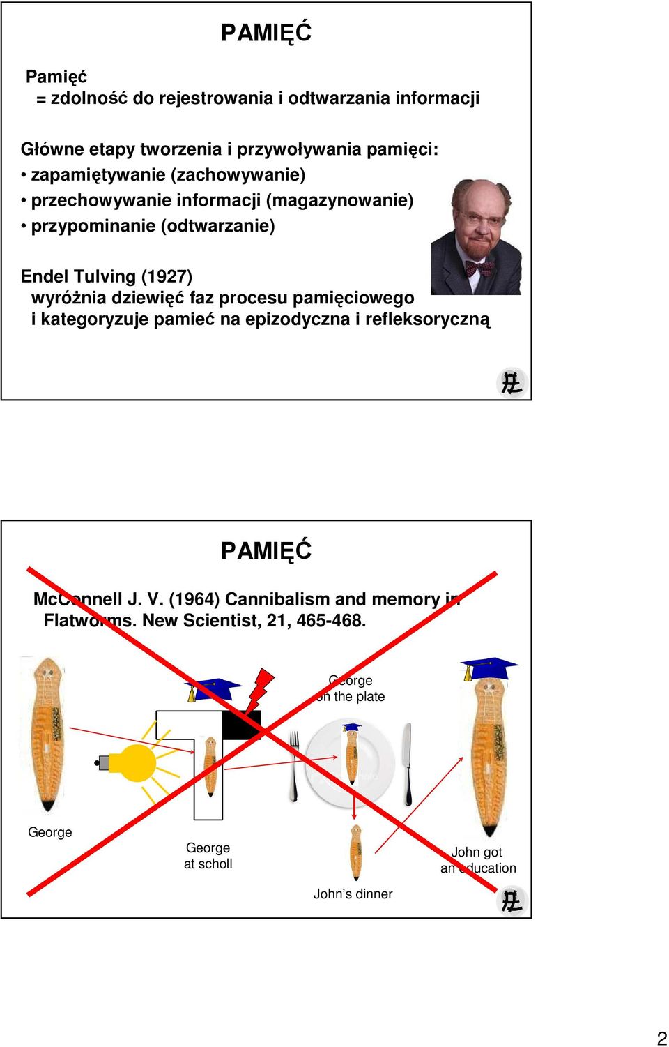 wyróŝnia dziewięć faz procesu pamięciowego i kategoryzuje pamieć na epizodyczna i refleksoryczną PAMIĘĆ McConnell J. V.