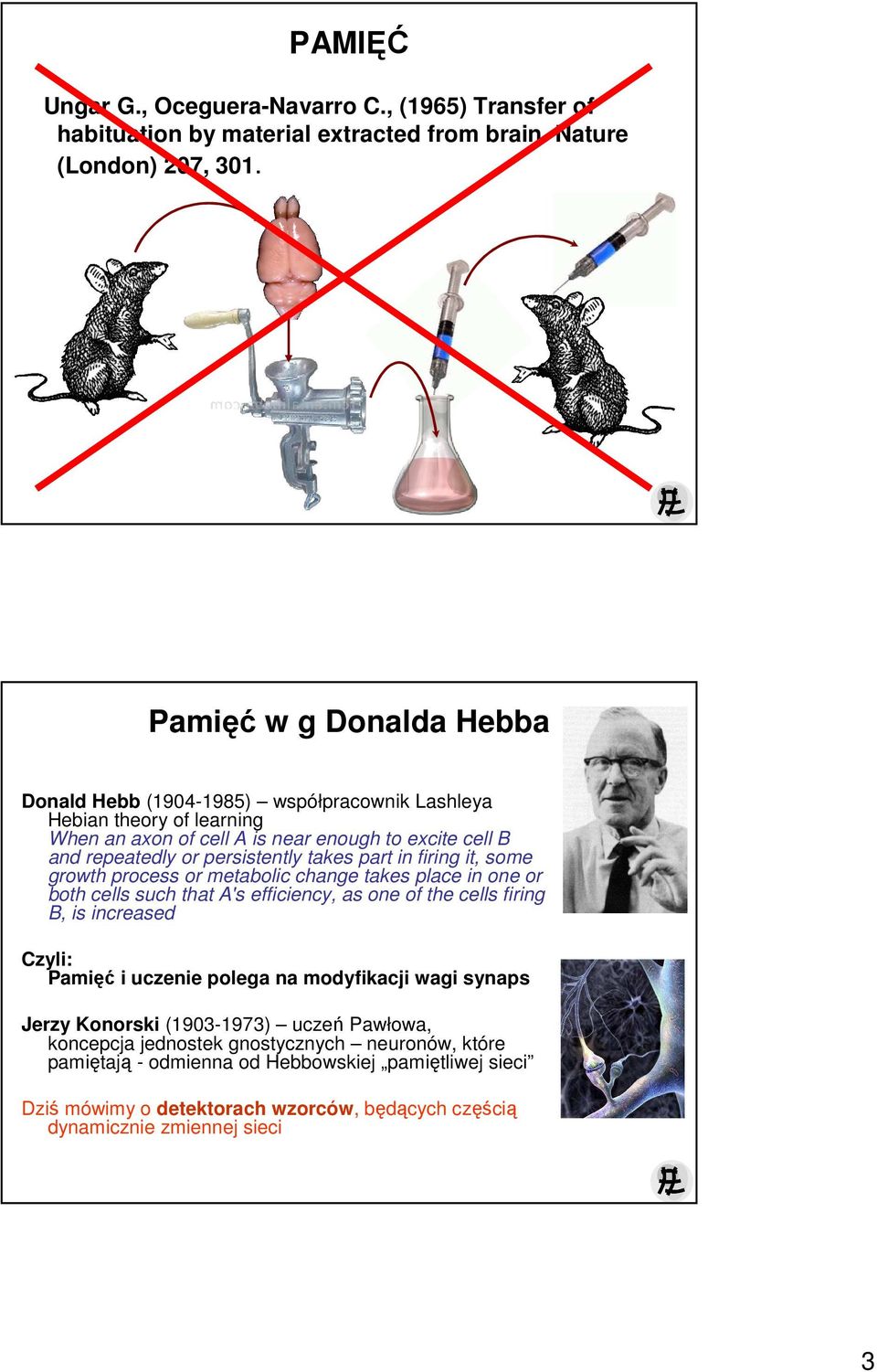 part in firing it, some growth process or metabolic change takes place in one or both cells such that A's efficiency, as one of the cells firing B, is increased Czyli: Pamięć i uczenie