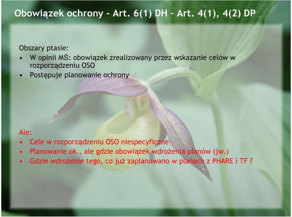 celów w rozporządzeniu OSO Postępuje planowanie ochrony Ale: Cele w rozporządzeniu OSO