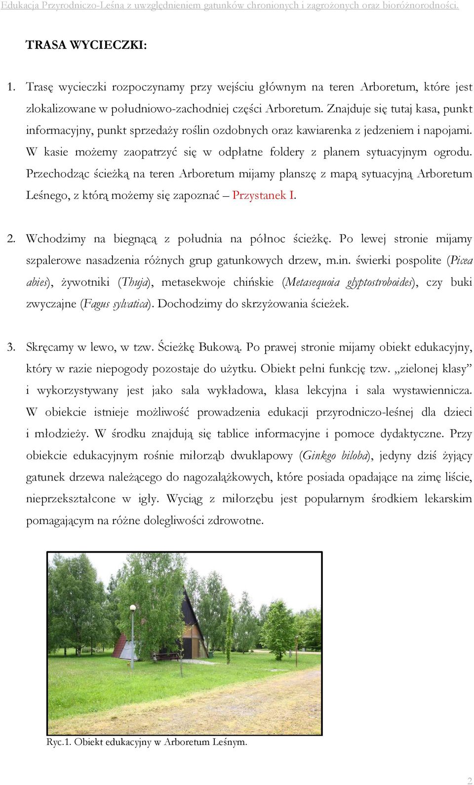 Przechodząc ścieżką na teren Arboretum mijamy planszę z mapą sytuacyjną Arboretum Leśnego, z którą możemy się zapoznać Przystanek I. 2. Wchodzimy na biegnącą z południa na północ ścieżkę.