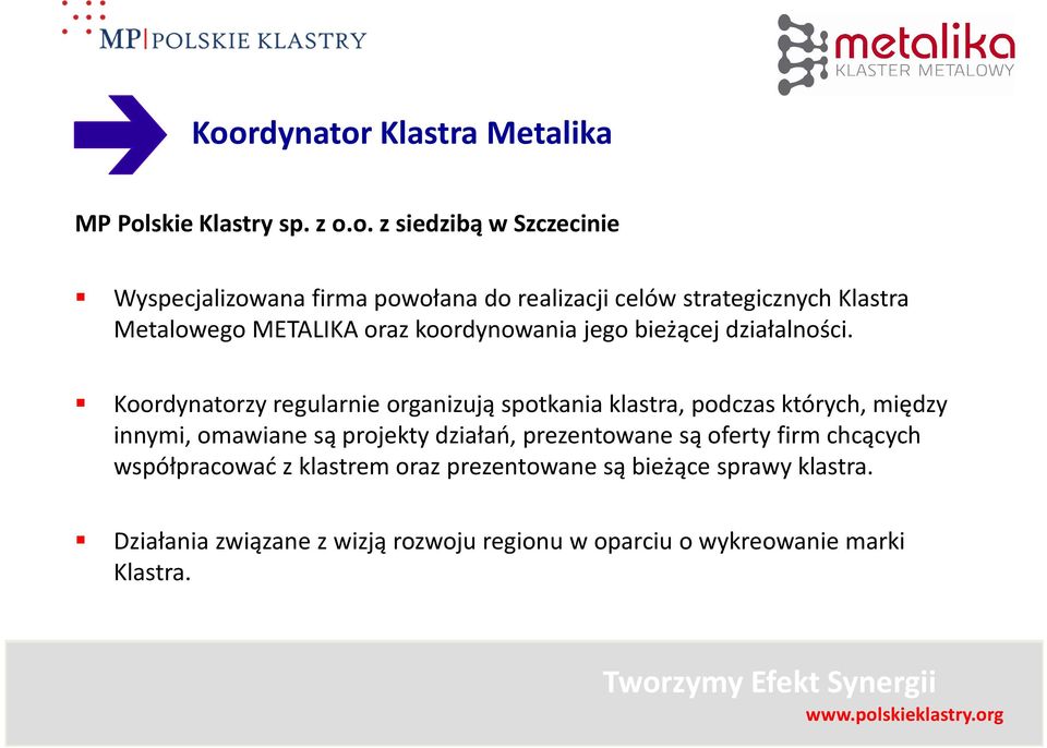 Koordynatorzy regularnie organizują spotkania klastra, podczas których, między innymi, omawiane są projekty działań, prezentowane są