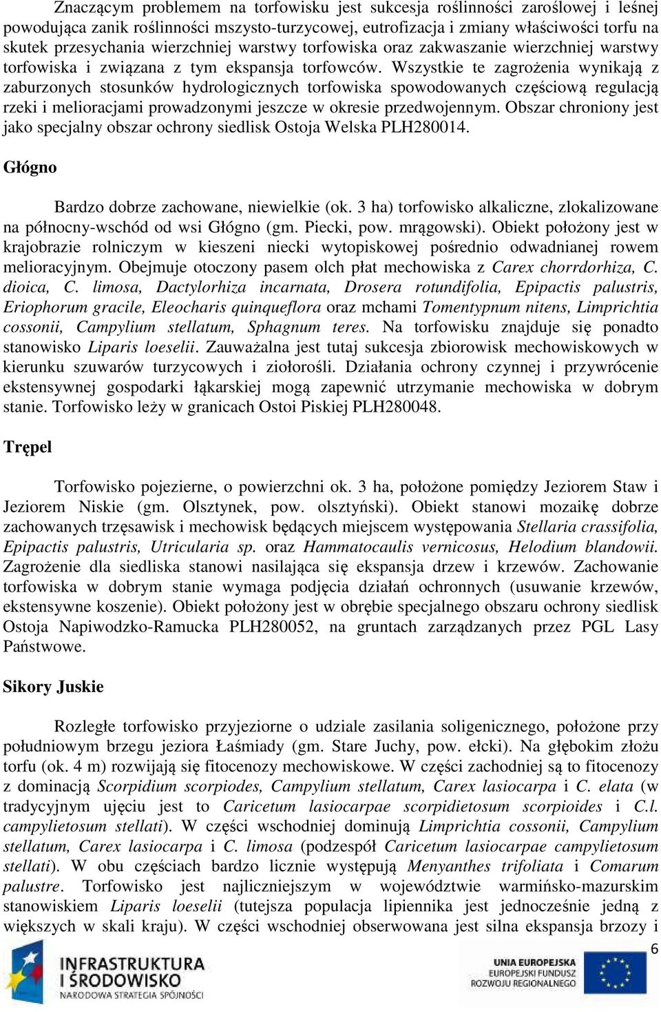 Wszystkie te zagrożenia wynikają z zaburzonych stosunków hydrologicznych torfowiska spowodowanych częściową regulacją rzeki i melioracjami prowadzonymi jeszcze w okresie przedwojennym.