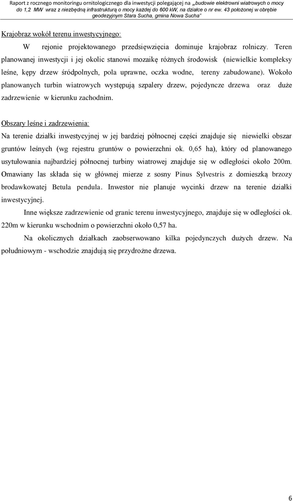Wokoło planowanych turbin wiatrowych występują szpalery drzew, pojedyncze drzewa oraz duże zadrzewienie w kierunku zachodnim.