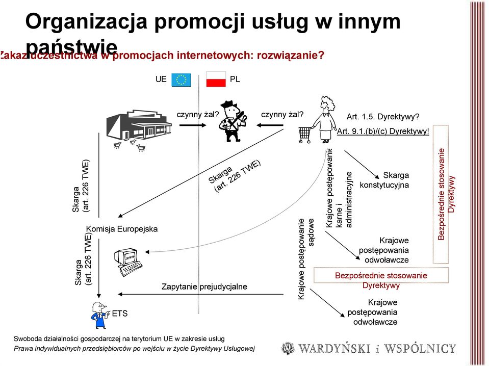 226 TWE) Zapytanie prejudycjalne Krajowe postępowanie sądowe Krajowe postępowanie karne i administracyjne konstytucyjna Krajowe