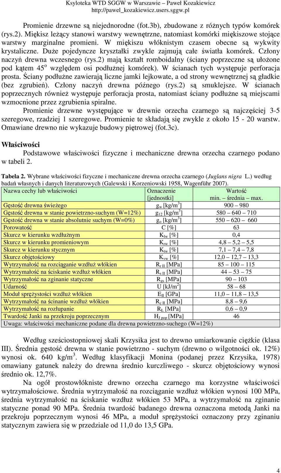 2) mają kształt romboidalny (ściany poprzeczne są ułożone pod kątem 45 o względem osi podłużnej komórek). W ścianach tych występuje perforacja prosta.