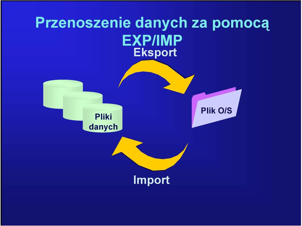 EXP/IMP Eksport