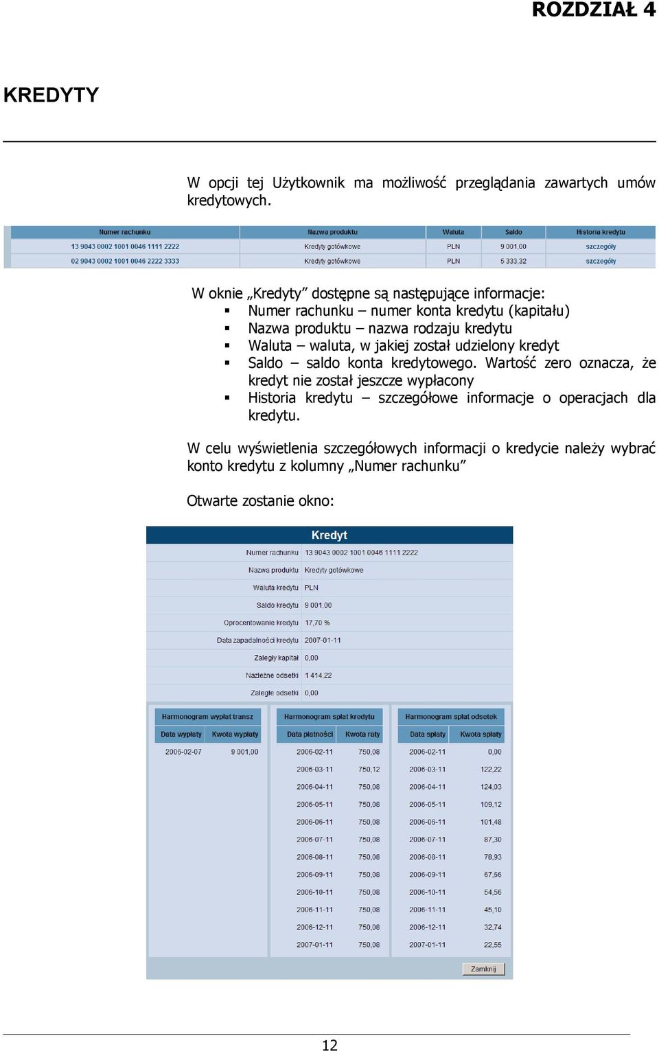 waluta, w jakiej został udzielony kredyt Saldo saldo konta kredytowego.