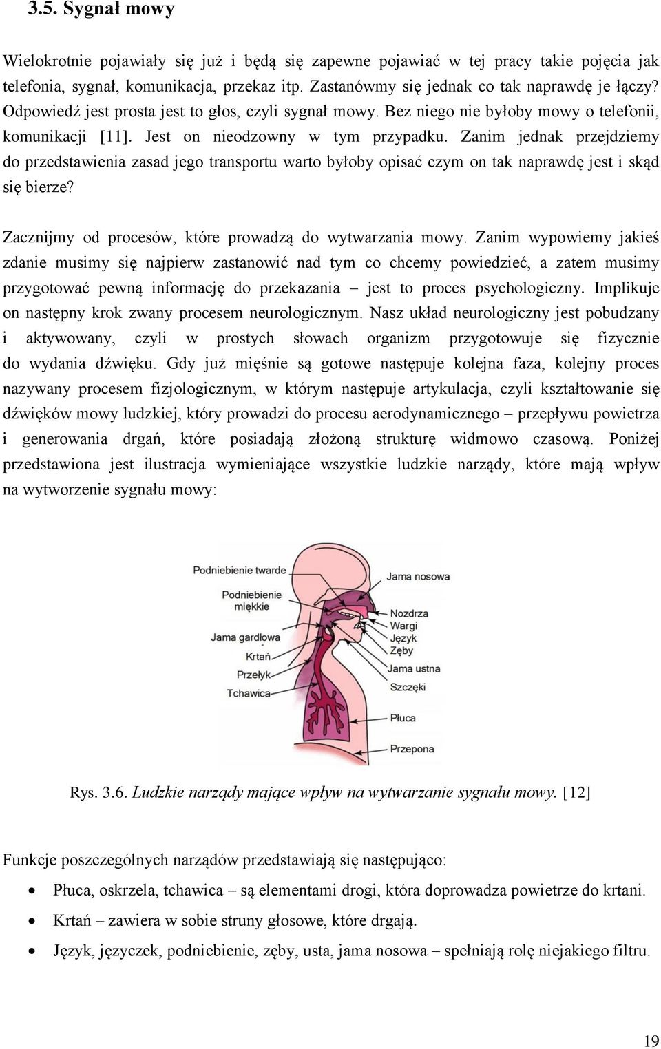 Zanim jednak przejdziemy do przedstawienia zasad jego transportu warto byłoby opisać czym on tak naprawdę jest i skąd się bierze? Zacznijmy od procesów, które prowadzą do wytwarzania mowy.