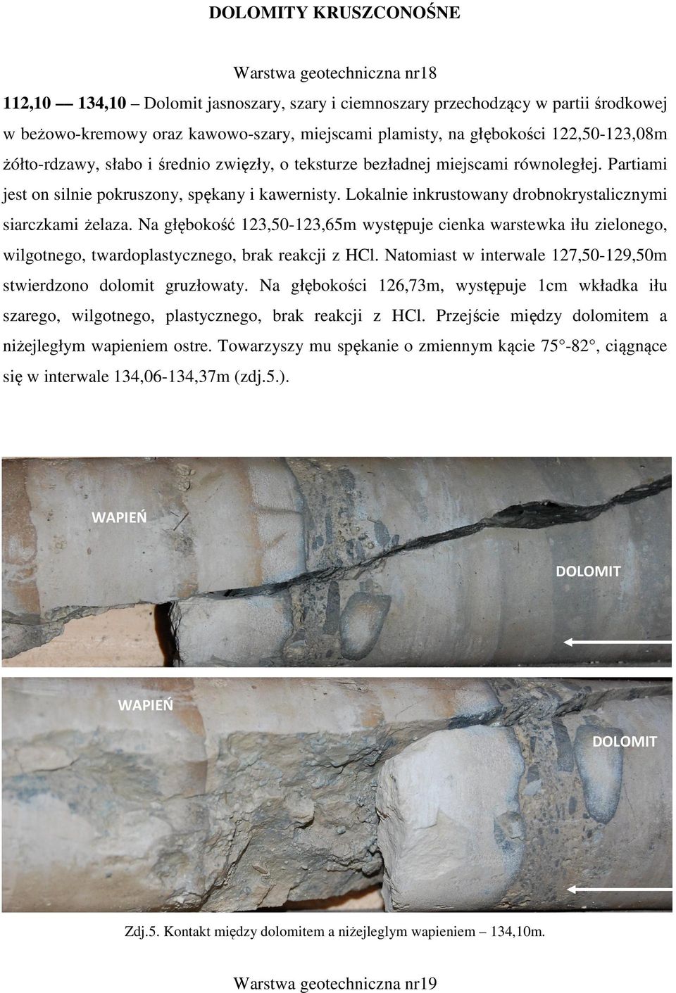 Lokalnie inkrustowany drobnokrystalicznymi siarczkami żelaza. Na głębokość 123,50-123,65m występuje cienka warstewka iłu zielonego, wilgotnego, twardoplastycznego, brak reakcji z HCl.