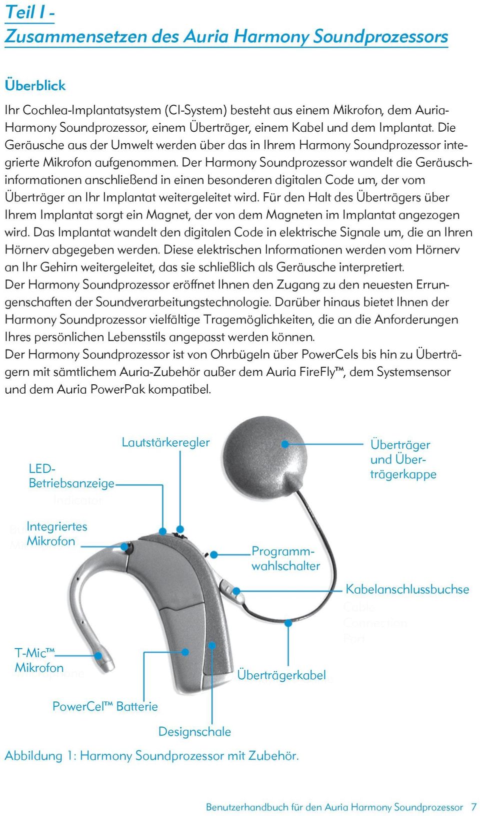 Der Harmony Soundprozessor wandelt die Geräuschinformationen anschließend in einen besonderen digitalen Code um, der vom Überträger an Ihr Implantat weitergeleitet wird.