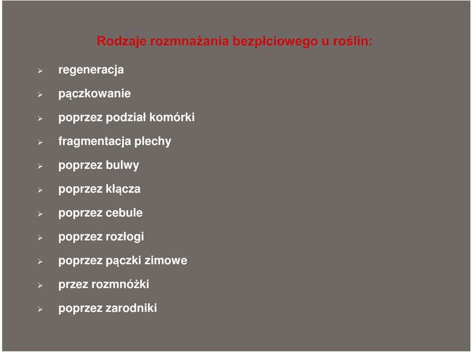 poprzez kłącza poprzez cebule poprzez rozłogi