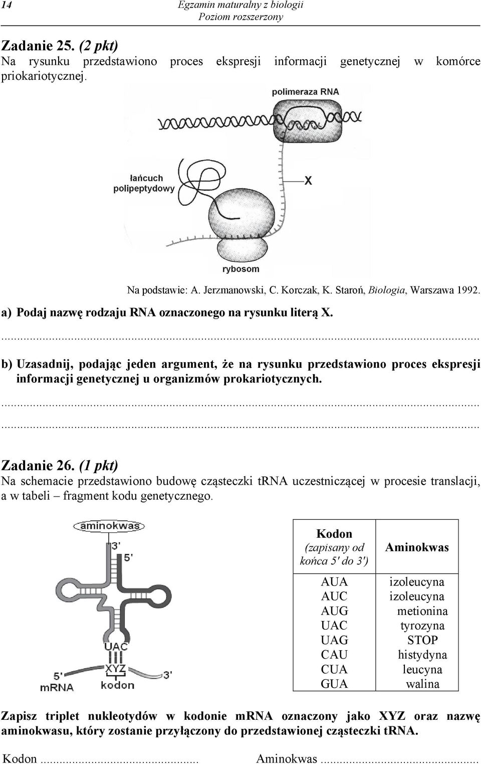 b) Uzasadnij, podając jeden argument, że na rysunku przedstawiono proces ekspresji informacji genetycznej u organizmów prokariotycznych. Zadanie 26.