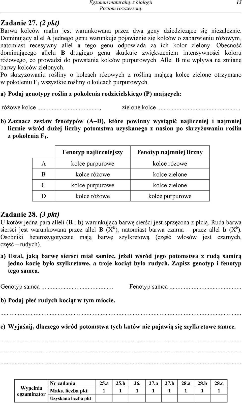 Obecność dominującego allelu B drugiego genu skutkuje zwiększeniem intensywności koloru różowego, co prowadzi do powstania kolców purpurowych. Allel B nie wpływa na zmianę barwy kolców zielonych.