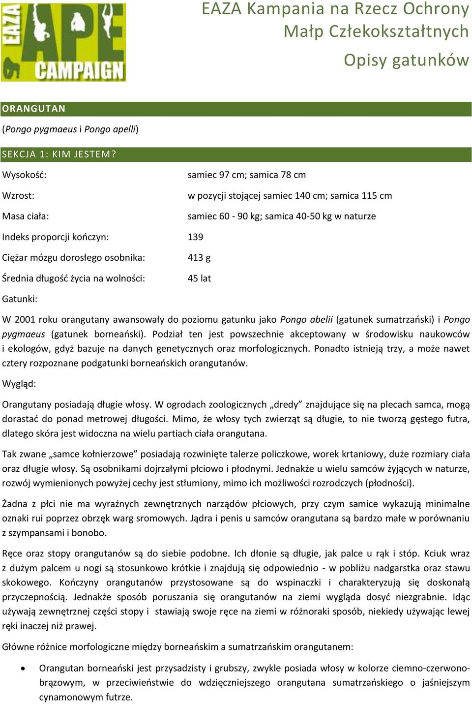 dorosłego osobnika: Średnia długośd życia na wolności: 413 g 45 lat Gatunki: W 2001 roku orangutany awansowały do poziomu gatunku jako Pongo abelii (gatunek sumatrzaoski) i Pongo pygmaeus (gatunek