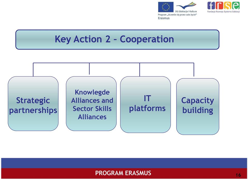 Alliances and Sector Skills