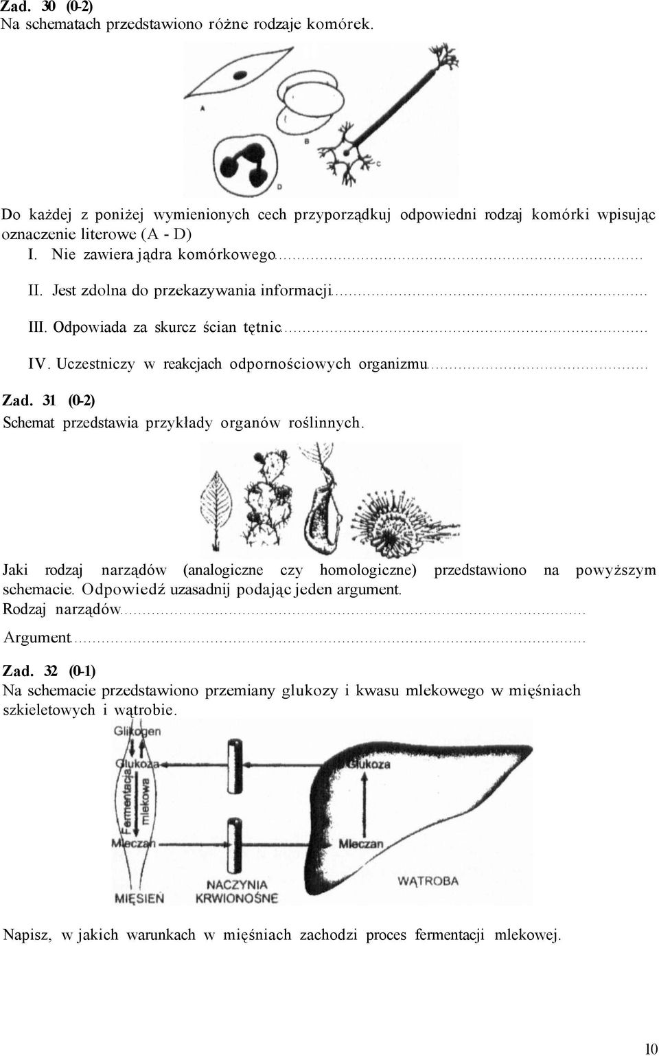 3 (0-2) Schemat przedstawia przykłady organów roślinnych. Jaki rodzaj narządów (analogiczne czy homologiczne) przedstawiono na powyższym schemacie. Odpowiedź uzasadnij podając jeden argument.