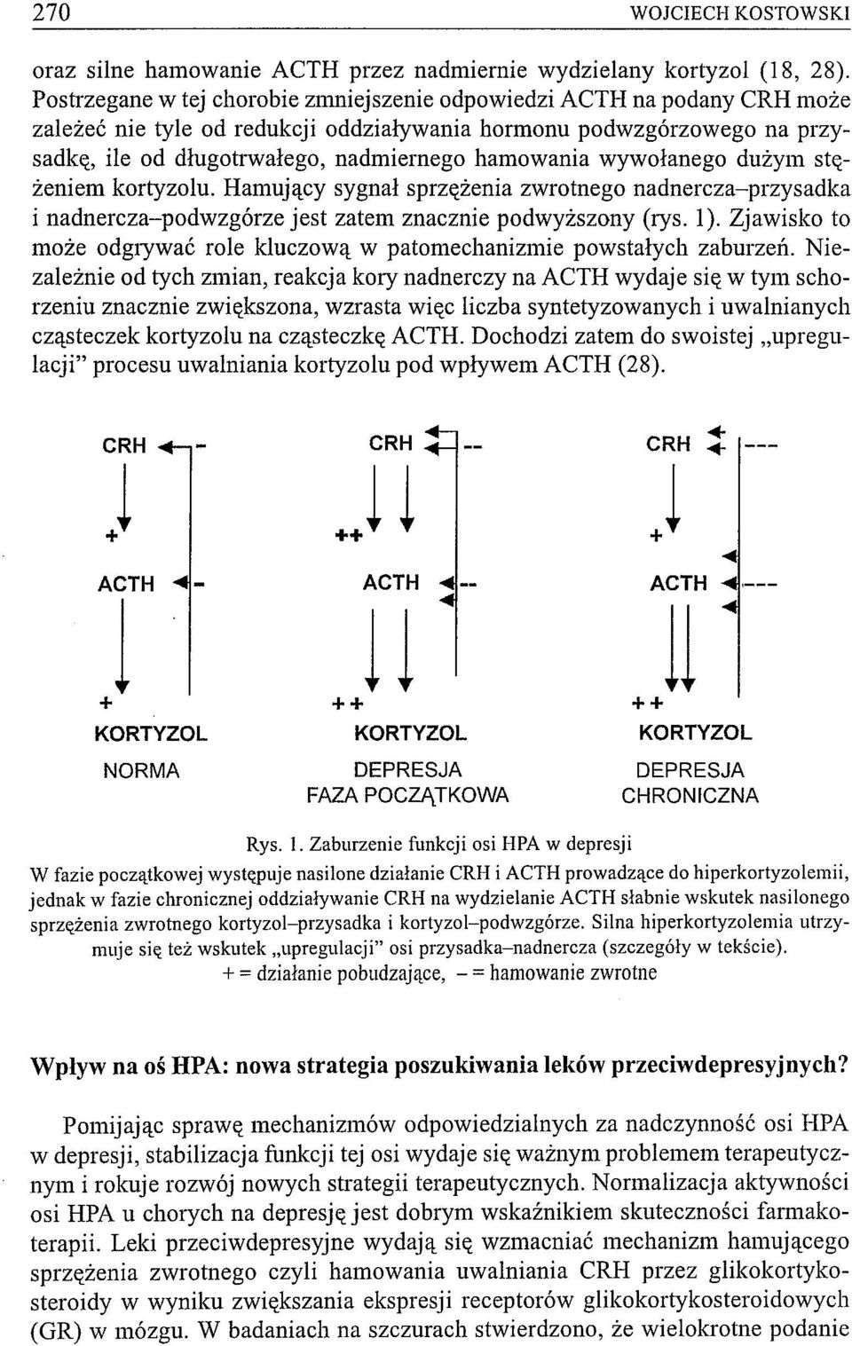 wywołanego dużym stężeniem kortyzolu. Hamujący sygnał sprzężenia zwrotnego nadnercza-przysadka i nadnercza-podwzgórze jest zatem znacznie podwyższony (rys. 1).
