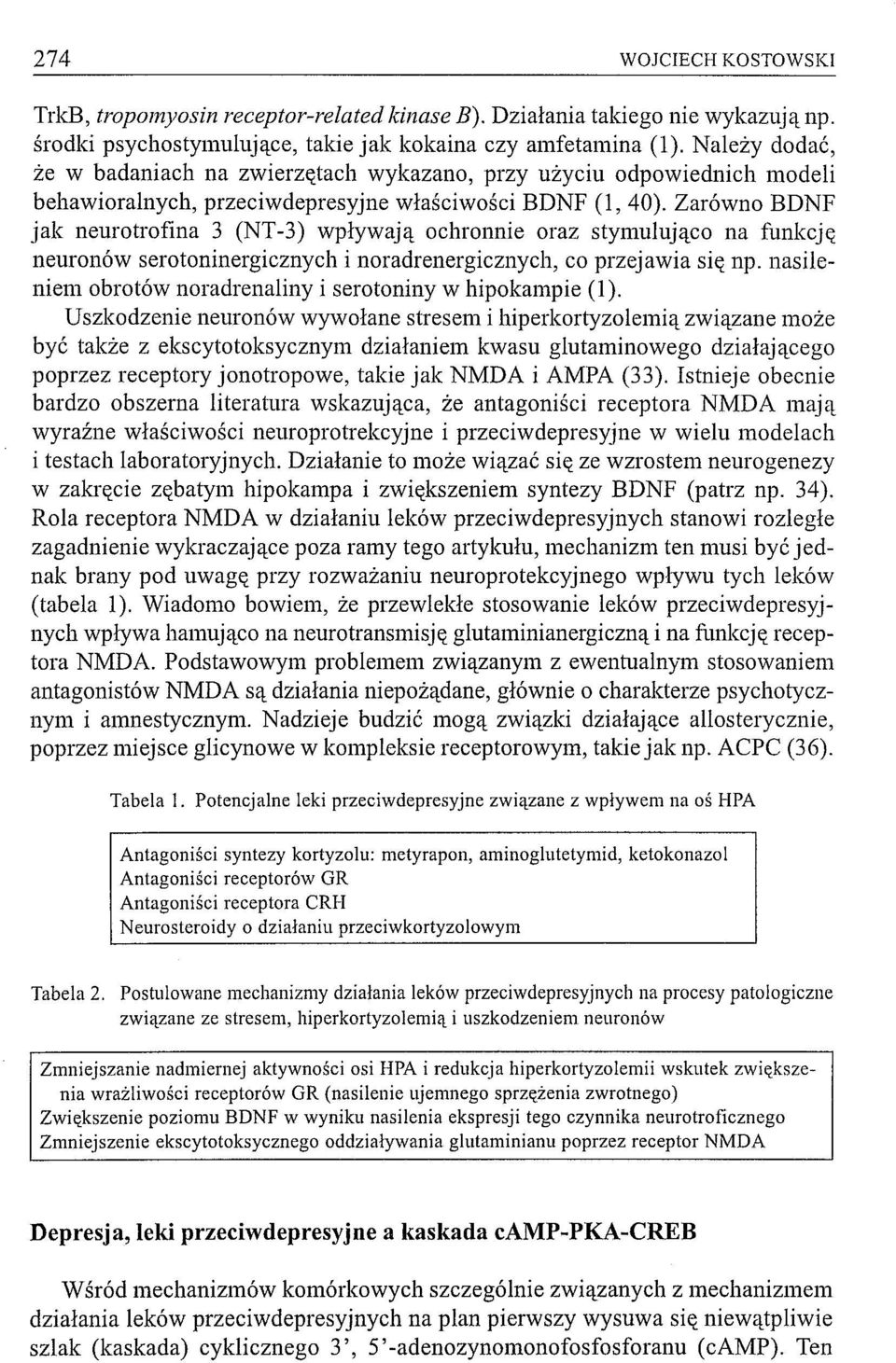 Zarówno BDNF jak neurotrofina 3 (NT-3) wpływają ochronnie oraz stymulująco na funkcję neuronów serotoninergicznych i noradrenergicznych, co przejawia się np.