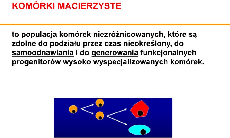 czas nieokreślony, do samoodnawiania i do