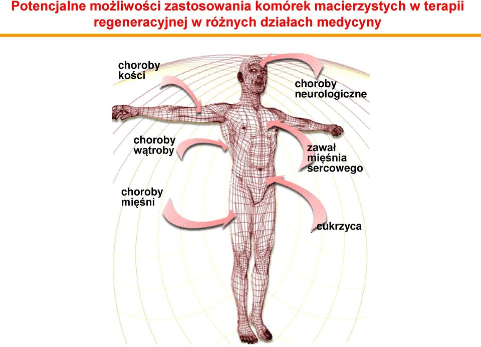 działach medycyny choroby kości choroby