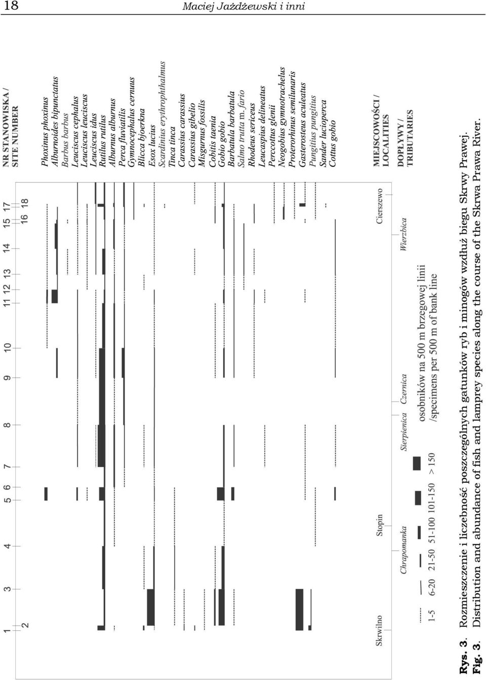 minogów wzdłuż biegu Skrwy Prawej. Fig. 3.