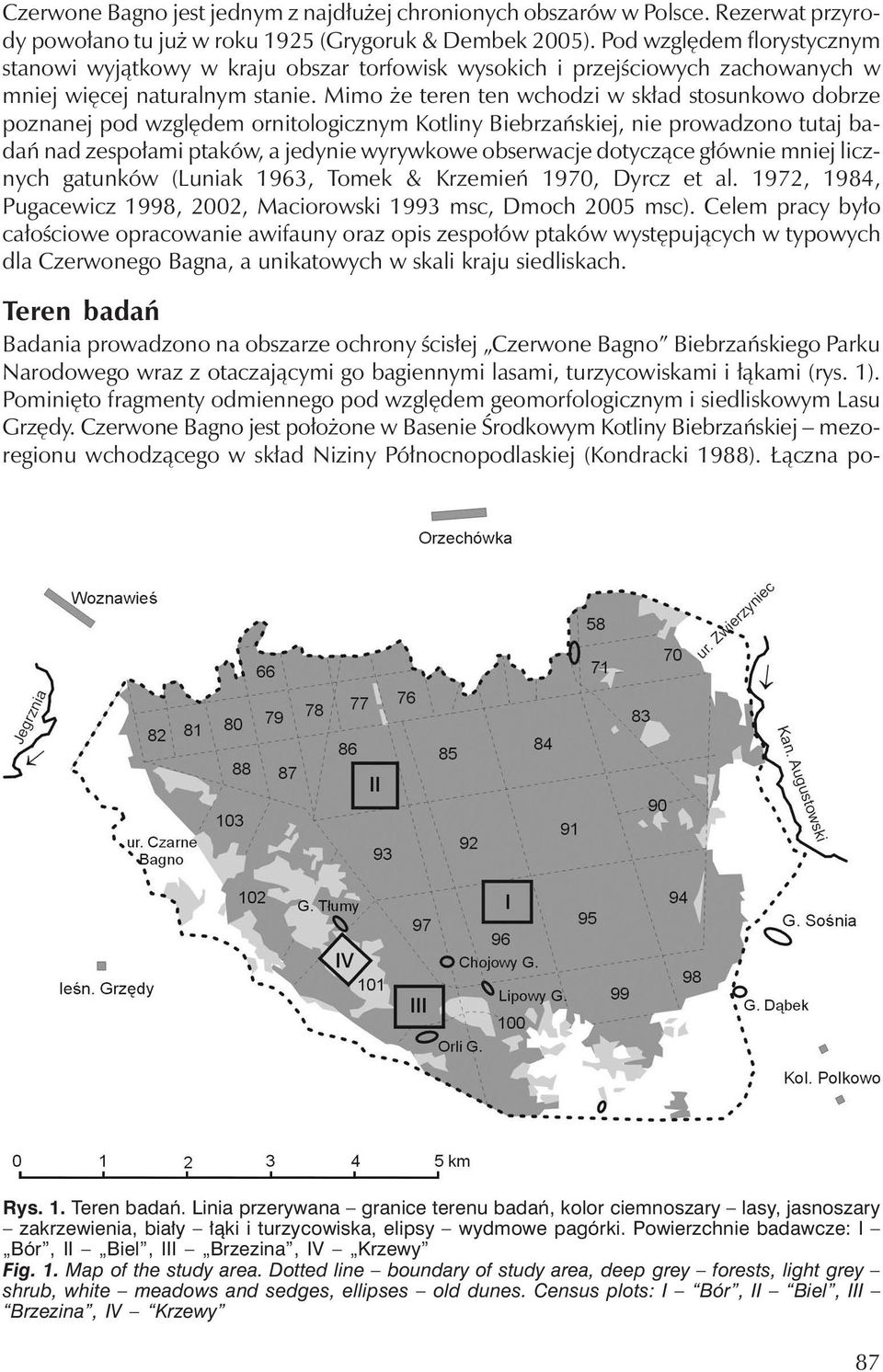 Mimo że teren ten wchodzi w skład stosunkowo dobrze poznanej pod względemornitologicznymkotliny Biebrzańskiej, nie prowadzono tutaj badań nad zespołami ptaków, a jedynie wyrywkowe obserwacje