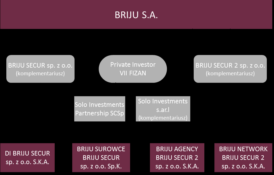 Struktura Grupy Kapitałowej. Schemat Grupy Kapitałowej BRIJU S.A. na dzień 30 września 2016r.