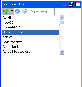 Dalsze odfiltrowywanie danych zawartych w tabeli nastąpi po kliknięciu na ikonę + Wybór kolumny Nazwa-gminy w celu