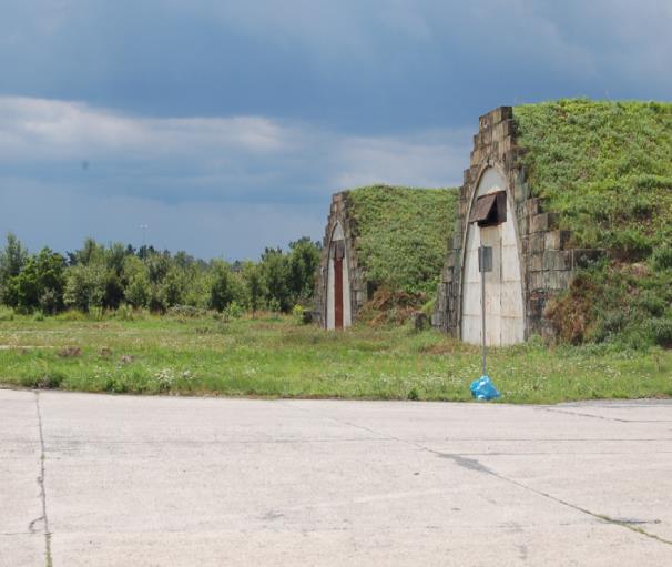 lub w obszarze Dane szczegółowe wyświetlane są zarejestrowane obrazy ANALIZA DANYCH