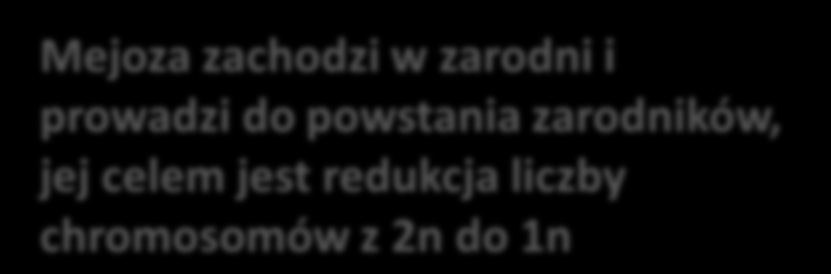 liczby chromosomów z 2n do 1n W obecności wody