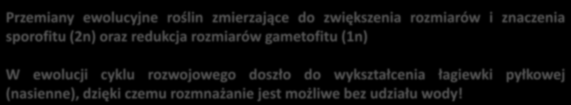 Pyłka-Gutowska Vademecum Przemiany ewolucyjne roślin zmierzające do zwiększenia rozmiarów i znaczenia sporofitu (2n) oraz redukcja rozmiarów