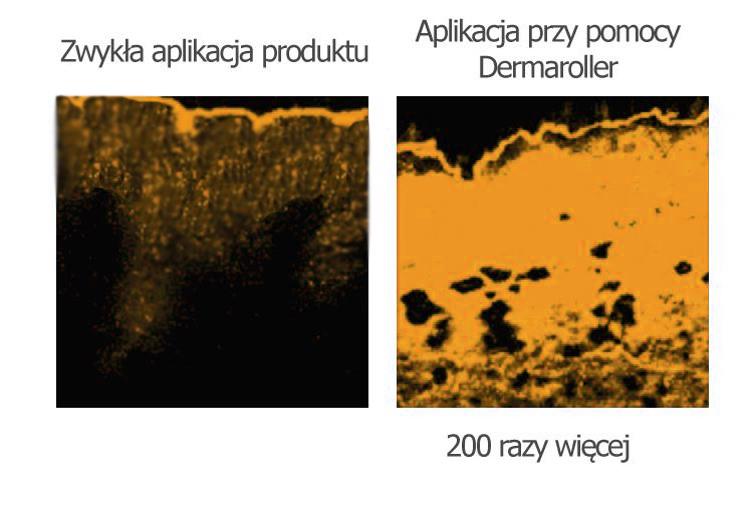 ABSORPCJA KREMU