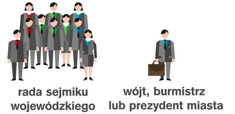 Wybory samorządowe w 2010 r. 2,8 tys. rad - 47 tys. radnych 1,5 tys. wójtów, 800 burmistrzów, 107 prezydentów miast województwa: 16 rad - 561 radnych powiaty: 314 rad 6 tys.