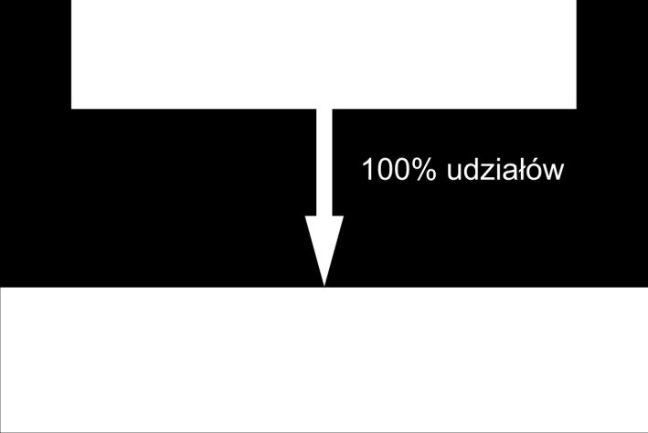 Władze, a także Fed, podobnie jak ekonomiści, są mocno zainteresowane Spółkami Specjalnego Przeznaczenia, a w szczególności badaniem ich specyfiki.