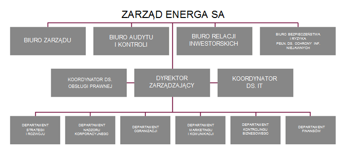 Projektując nową strukturę organizacyjną, przyjęto, że: (1) zwiększeniu ulega rola ENERGA SA, zwiększa się ranga i zakres działań nadzoru biznesowego i korporacyjnego, które stanowić będą istotny